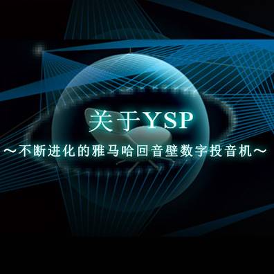 不断进化的千赢国际回音壁数字投音机