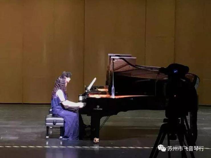 【报道】苏州飞音琴行千赢国际钢琴旗舰展厅开业仪式暨贝森朵夫艺术家李哲钢琴音乐会圆满落幕