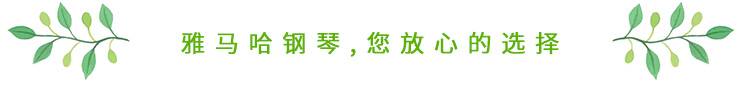 这才是真相：绿色关爱，千赢国际的环境政策
