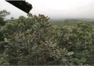 这才是真相：绿色关爱，千赢国际的环境政策
