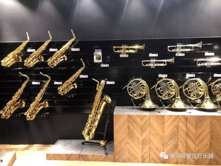 千赢国际乐器 试奏乐器