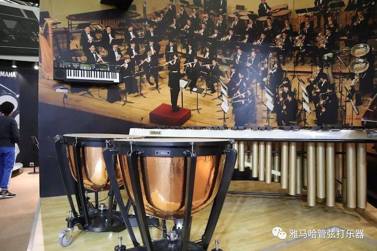 千赢国际乐器 试奏乐器