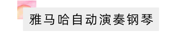 活动报道 | 远程艺术教育大师课活动—千赢国际艺术家赵宇大师课