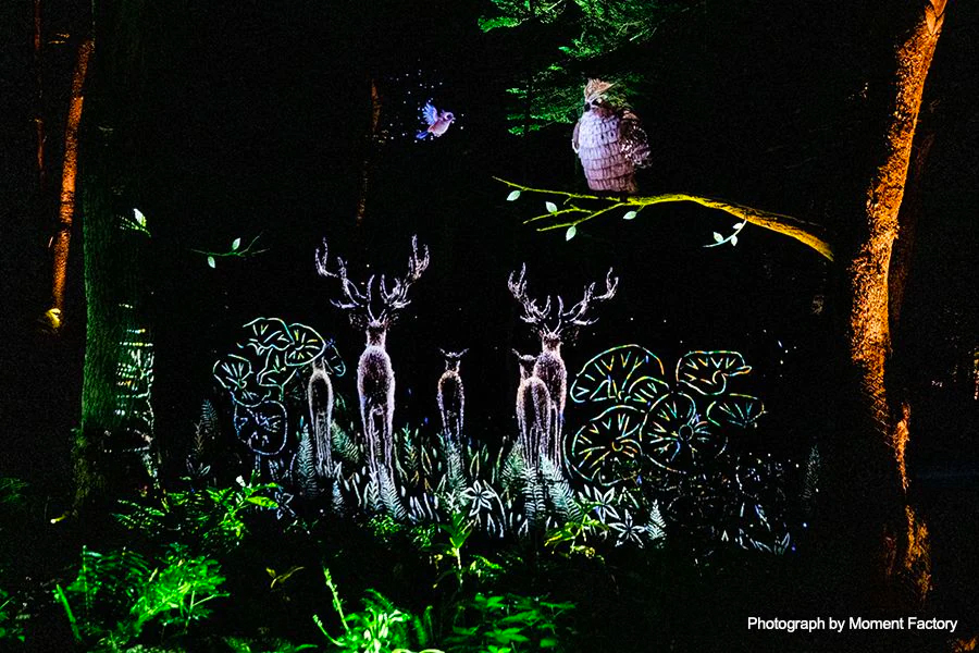 案例｜千赢国际为壮观的Kamuy Lumina魔法夜行旅游项目提供配乐设备