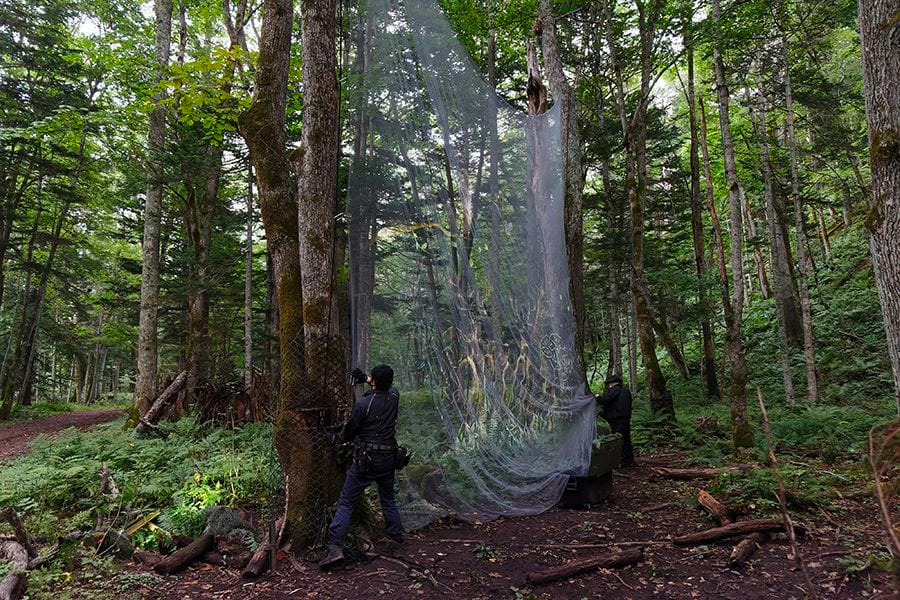 案例｜千赢国际为壮观的Kamuy Lumina魔法夜行旅游项目提供配乐设备