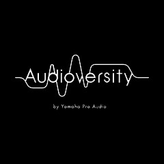 千赢国际专业音响教育培训开展全新“Audioversity ”计划