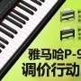 千赢国际P-95数码钢琴，调价行动即日展开 